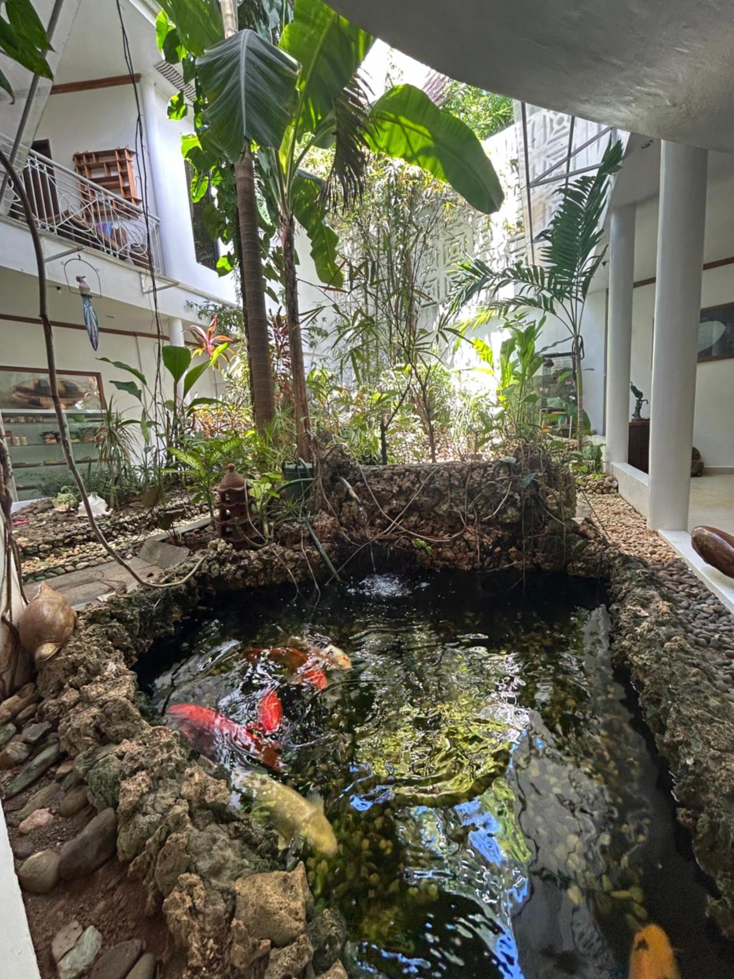 Argonauta Boracay Apartment Suites And Villas Boracay Island Exterior photo